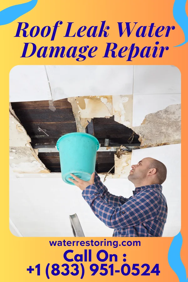 Roof Leak Water Damage Repair in Center Point, NM